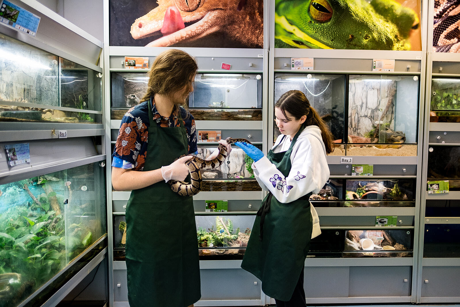 Two students holding a snake in the animal unit at Boston College.
