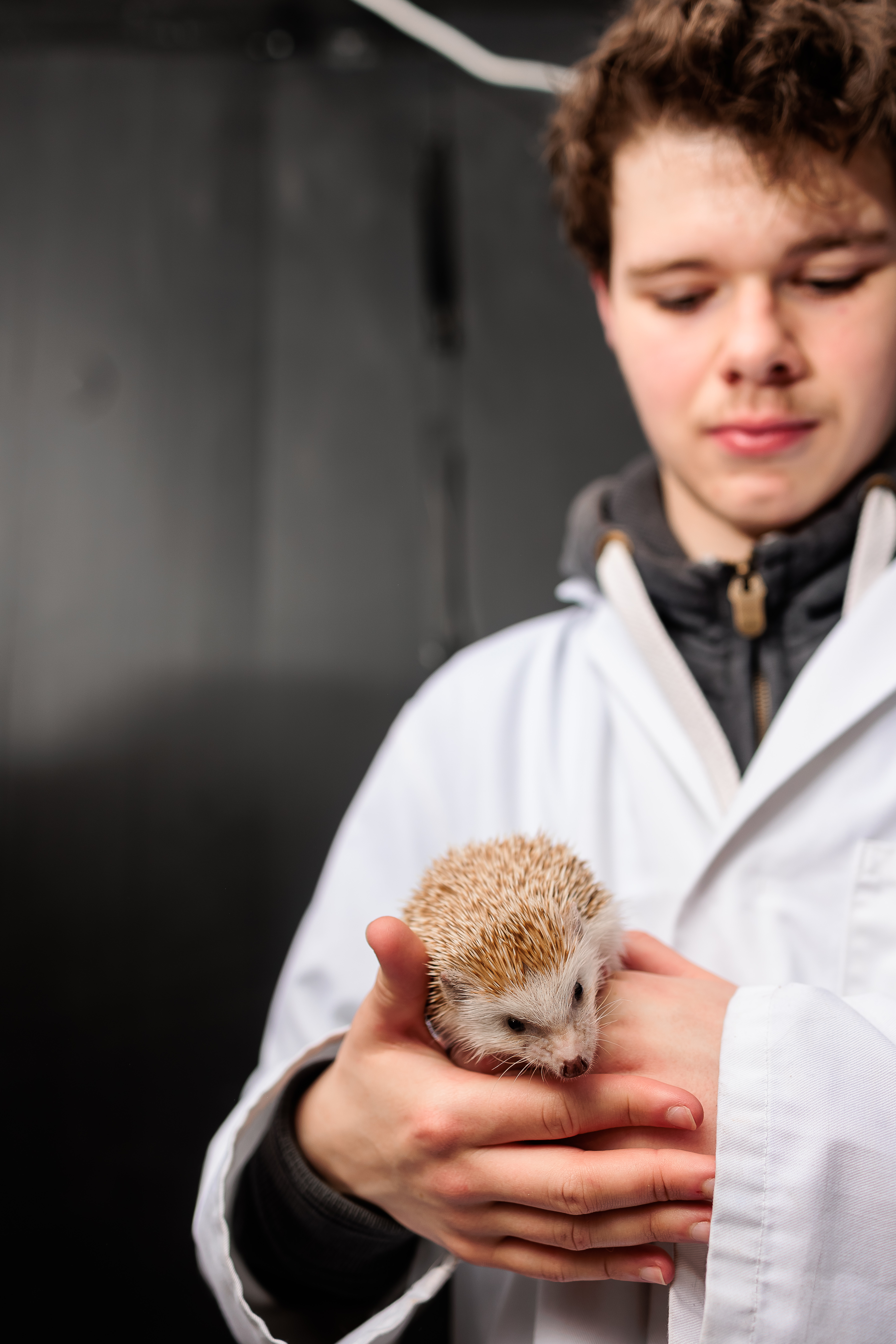 Student holding a hedgehog.