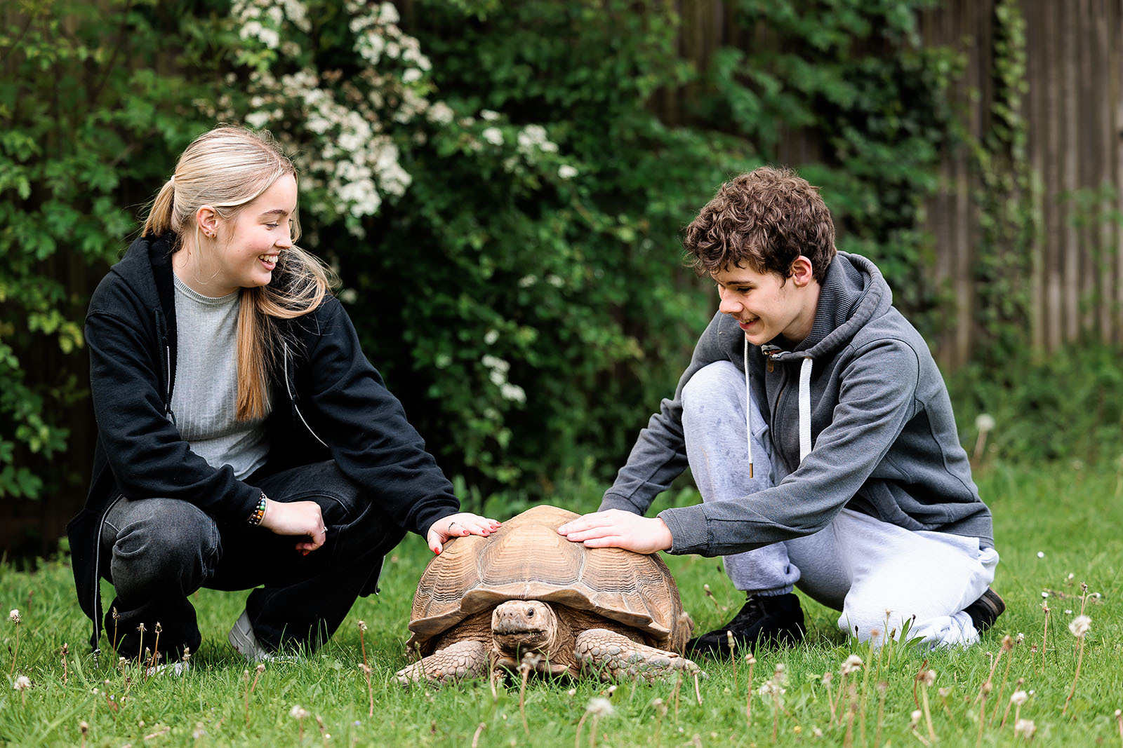 Two students crouched down with a giant tortoise.