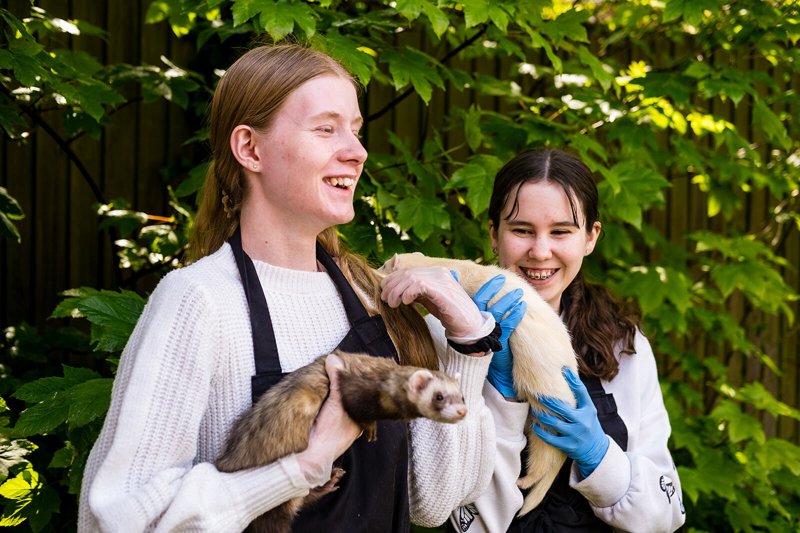 Students holding Ferrets in an outdoor location.