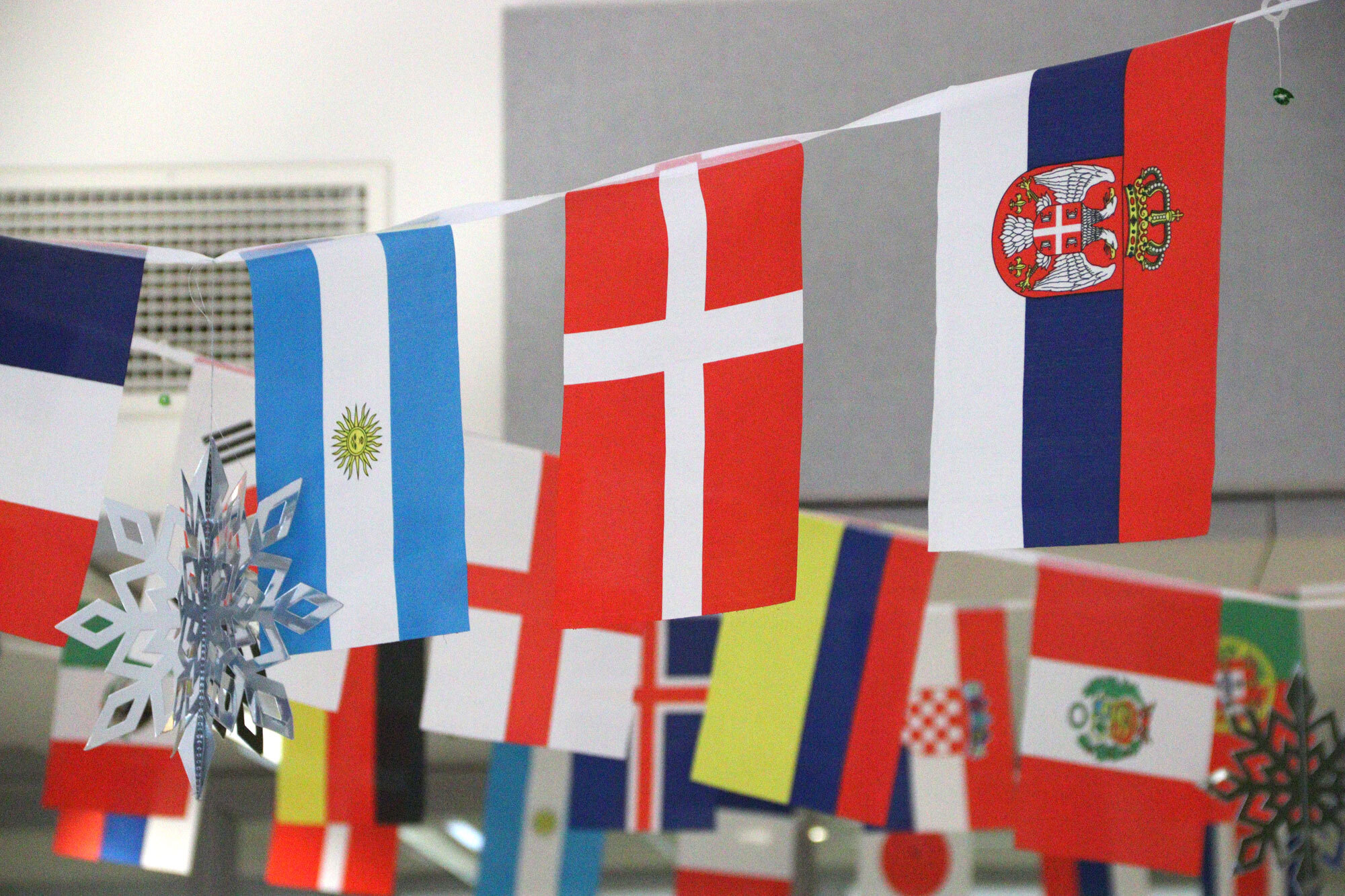 National flags hanging from a ceiling.