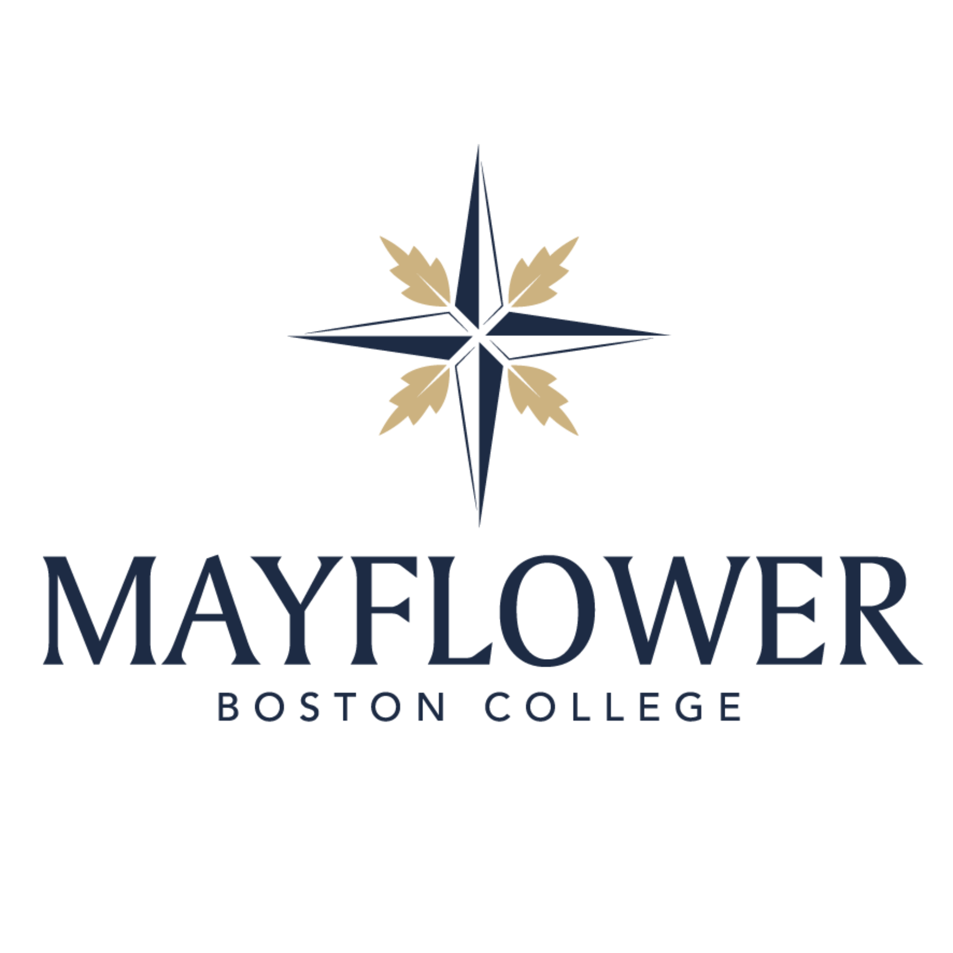 Mayflower NAVY AND GOLD LOGO